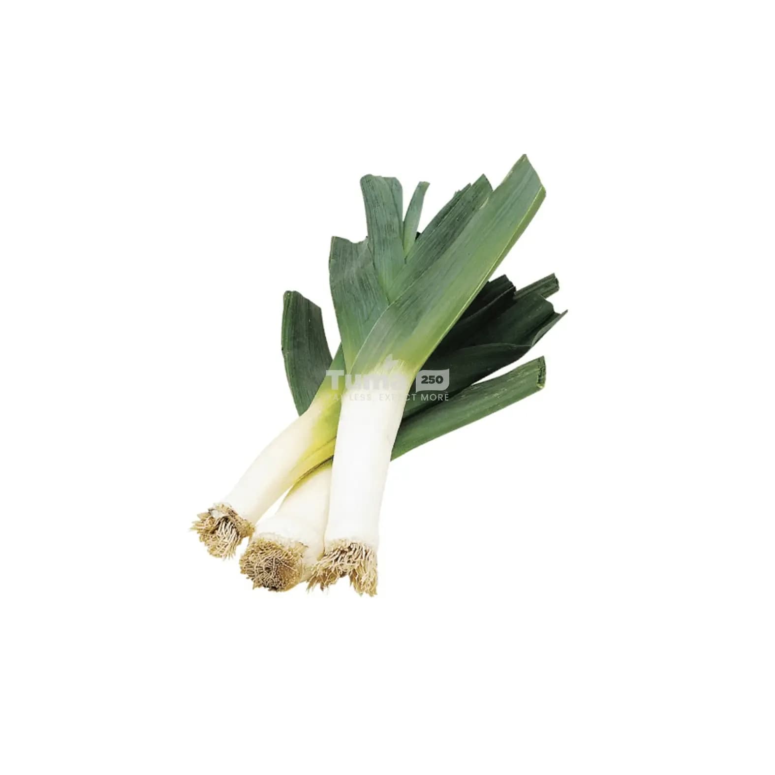 Onion Leeks Bunch – ( Bouquet de Poireaux)