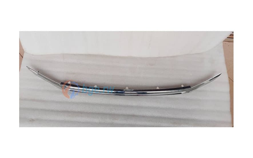 RADIATOR GRILLE MOULDING - RUSH 18