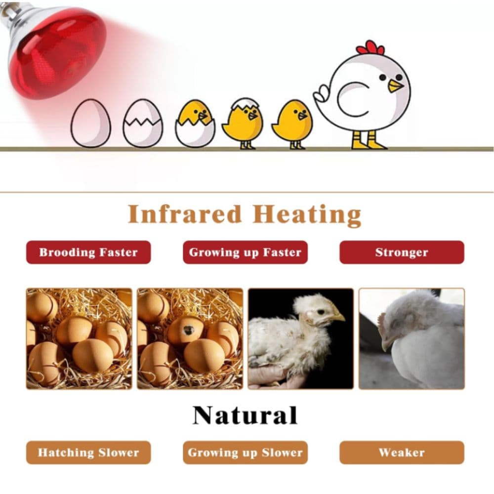 200W Red Heat Lamp Bulb for Pets, Chickens, and Reptiles